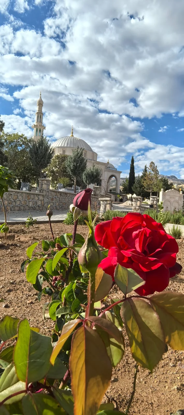 Külliye Yeşil Alan ve Peyzaj Düzenlemesi